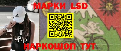 ешки Кингисепп