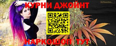 ешки Кингисепп