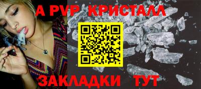 ешки Кингисепп